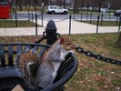 photo thumbnail #8