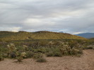 photo thumbnail #2