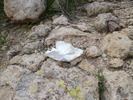 photo thumbnail #10