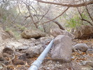 photo thumbnail #14