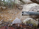 photo thumbnail #15