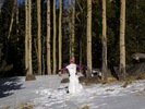 photo thumbnail #4