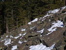photo thumbnail #8
