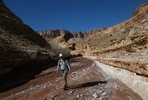 photo thumbnail #14