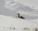 photo thumbnail #8