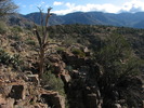 photo thumbnail #9