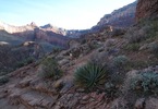 photo thumbnail #15