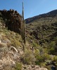 photo thumbnail #13