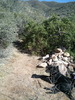 photo thumbnail #8