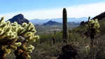 photo thumbnail #3