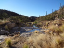 photo thumbnail #3
