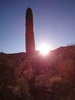 photo thumbnail #12