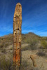 photo thumbnail #5