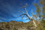 photo thumbnail #7