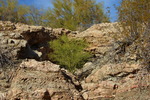 photo thumbnail #9