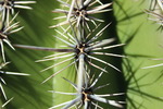 photo thumbnail #11