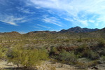 photo thumbnail #12