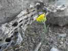 photo thumbnail #15