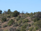 photo thumbnail #11