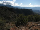 photo thumbnail #14