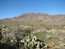 photo thumbnail #15