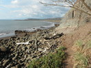 photo thumbnail #14