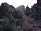 photo thumbnail #6