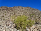 photo thumbnail #4