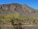 photo thumbnail #9