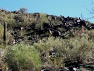 photo thumbnail #11