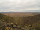 photo thumbnail #2