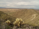 photo thumbnail #4
