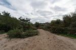 photo thumbnail #7
