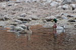 photo thumbnail #10