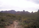 photo thumbnail #1