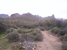 photo thumbnail #2