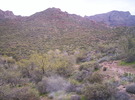 photo thumbnail #7