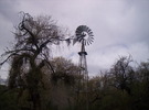 photo thumbnail #9