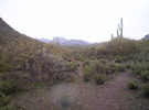 photo thumbnail #1