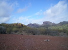 photo thumbnail #2