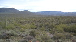 photo thumbnail #2