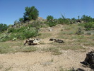 photo thumbnail #8