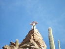 photo thumbnail #12
