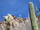 photo thumbnail #13