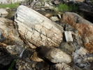 photo thumbnail #15