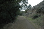 photo thumbnail #5