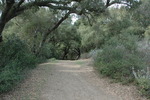 photo thumbnail #8