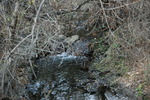 photo thumbnail #15