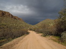 photo thumbnail #1