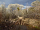 photo thumbnail #4
